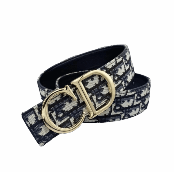 Sugargoo Spreadsheets DIOR Belt