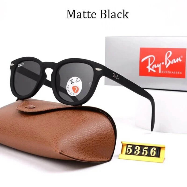 Ray-Ban Matte black polarized round sunglasses
